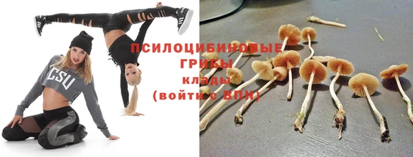 jwh Лиски