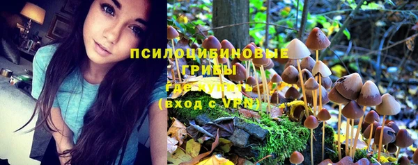 экстази Лихославль