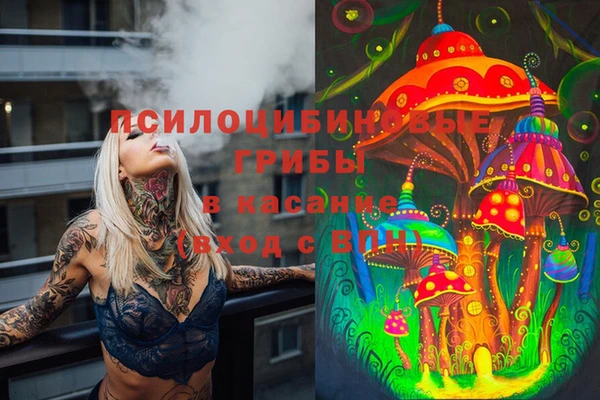 jwh Лиски