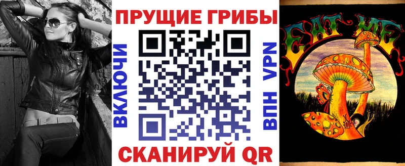 где найти   Старица  Галлюциногенные грибы Cubensis 